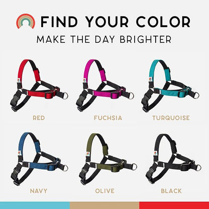 No Pull Dog Harness | Comfortable Training Harnesses | Effective No Pull Harness Design | Ideal for Small Dog and Puppy | 4-Point Adjustable (S - 18~24 inch Girth, Fuchsia)