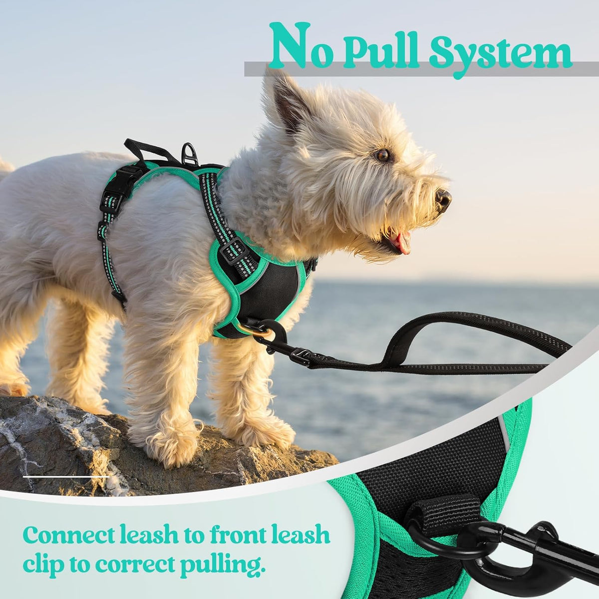 rabbitgoo Dog Harness No Pull with 2 Leash Clips, Adjustable Soft Padded, Reflective Oxford No Choke Pet Vest with Easy Control Handle for Puppy, Black & Turquoise, XS