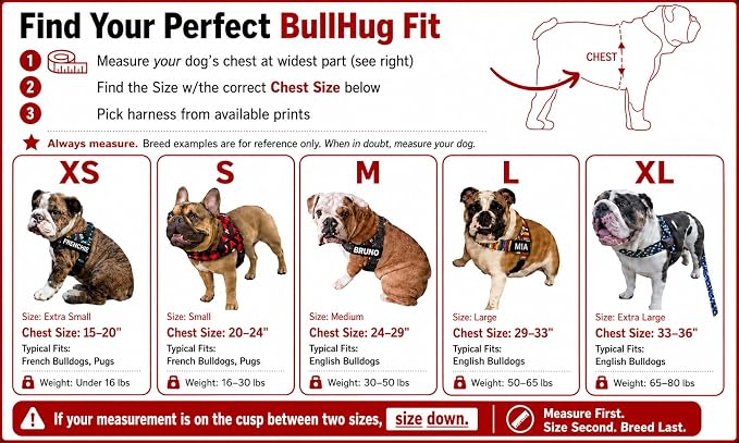 Adjustable Dog Harness– No Pull, No Choke – for English Bulldogs, French Bulldogs, Pugs & Broad-Chested Breeds – Easy, Safe Walks (NEON Green, Small)