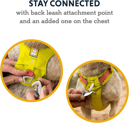 Ruffwear, Hi & Light, Everyday Lightweight Dog Harness, Trail Running, Walking, Hiking, All-Day Wear, Sage Green, X-Small