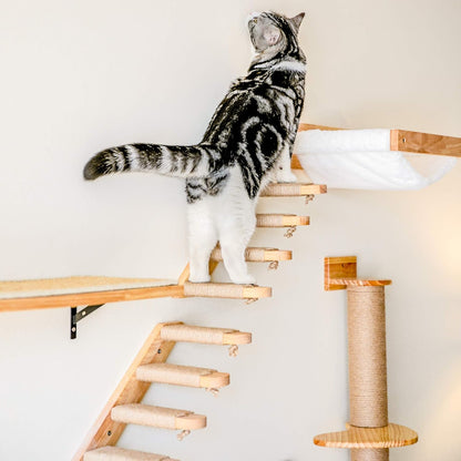 FUKUMARU Cat Wall Furniture, 3 Pack Cats Walls Shelves Set, Solid Rubber Wood Kitten Shelf for Sleeping, Playing, Climbing and Lounging