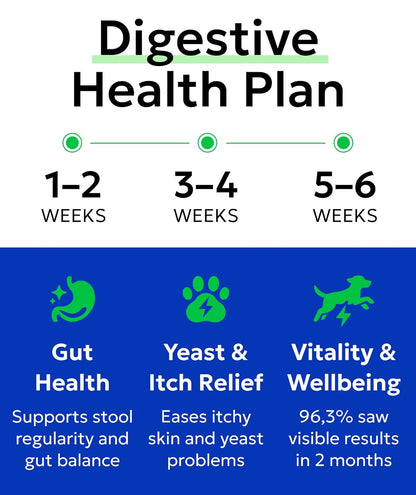 BARK&SPARK Dog Probiotics for Digestive Health w/Enzymes - Diarrhea Gas Treatment Upset Stomach Relief - Allergy & Itchy Skin - Pet Probiotics for Dogs - Digestion Supplement Treat (120Ct Chicken)