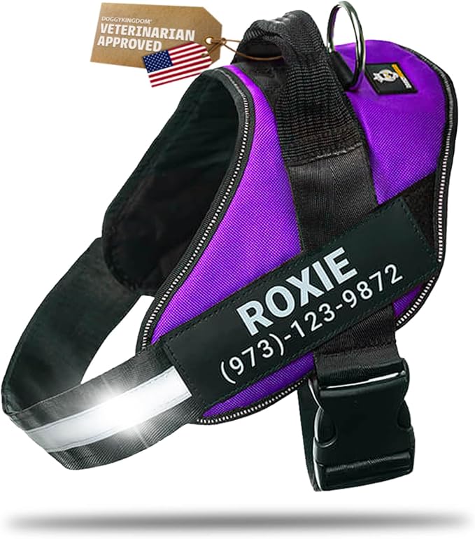 Personalized Dog Harness with Custom Name Patches, Adjustable Reflective No Choke Dog Vest with Handle for Small Dogs and Growing Puppy, Purple, XS