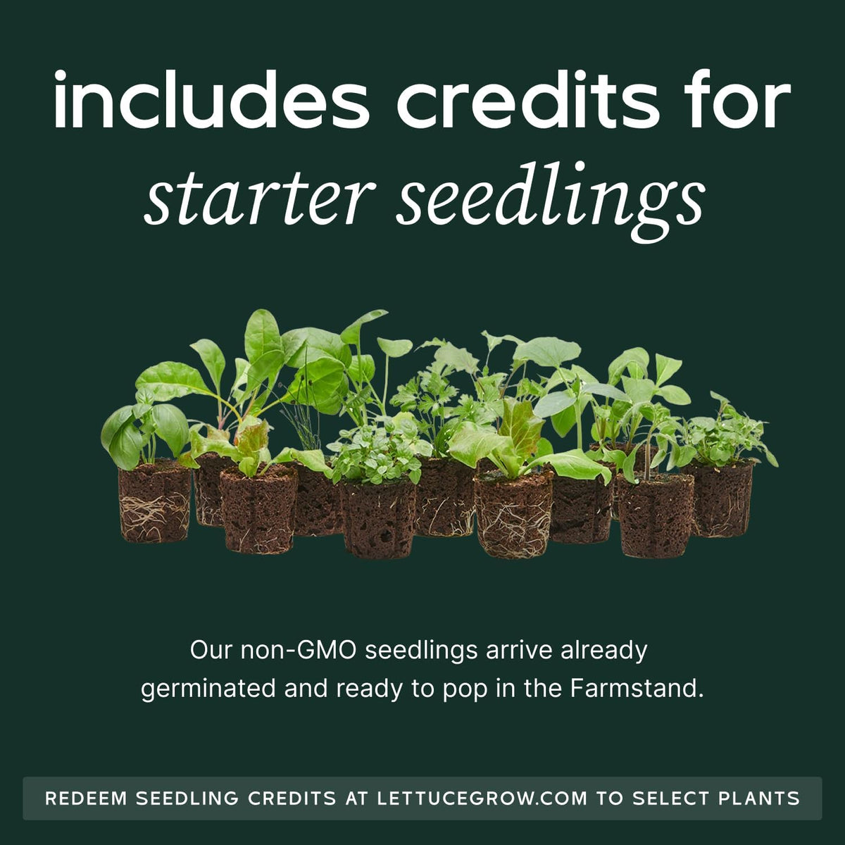 Farmstand Starter Kit + 36 Seedling Credits | Large Hydroponic Growing System Kit | Self-Watering Outdoor Vertical Garden Planter Tower | 6ft 1in | Made in USA