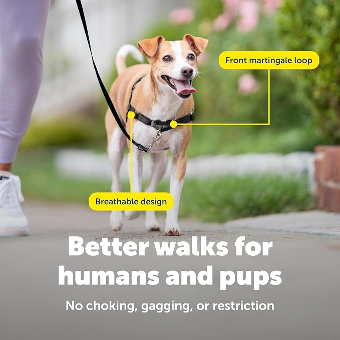 PetSafe Easy Walk Harness, No Pull Dog Harness, Fawn, Small | Patented Martingale Loop Gives Gradual Shoulder Pressure to Stop Pulling, Front-Chest Leash Clip Prevents Gagging