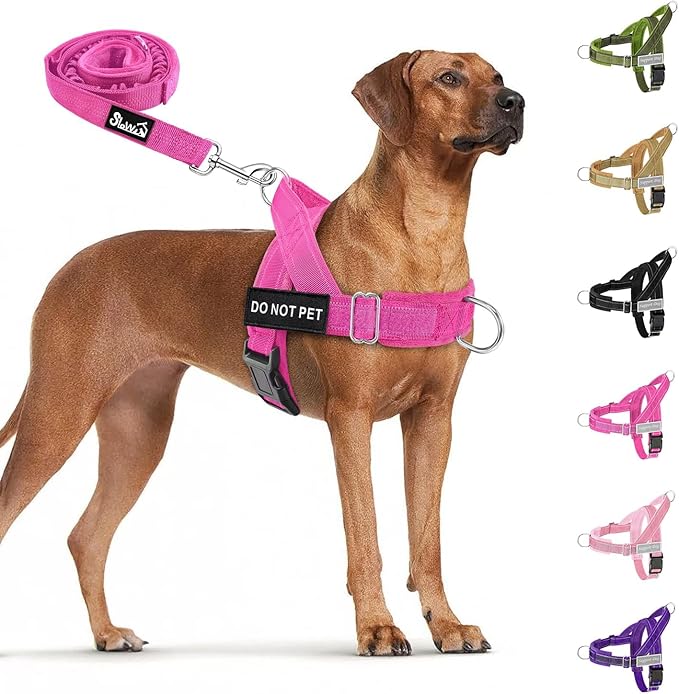 SlowTon No Pull Dog Harness with Front Clip - Heavy Duty, Soft Padded | Neck & Chest Adjustable, Tactical Pet Vest and Leash Set for Large Medium Sized Dogs, for Easy Walk & Training, Fuchsia M