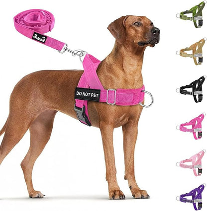 SlowTon No Pull Dog Harness with Front Clip - Heavy Duty, Soft Padded | Neck & Chest Adjustable, Tactical Pet Vest and Leash Set for Large Medium Sized Dogs, for Easy Walk & Training, Fuchsia M