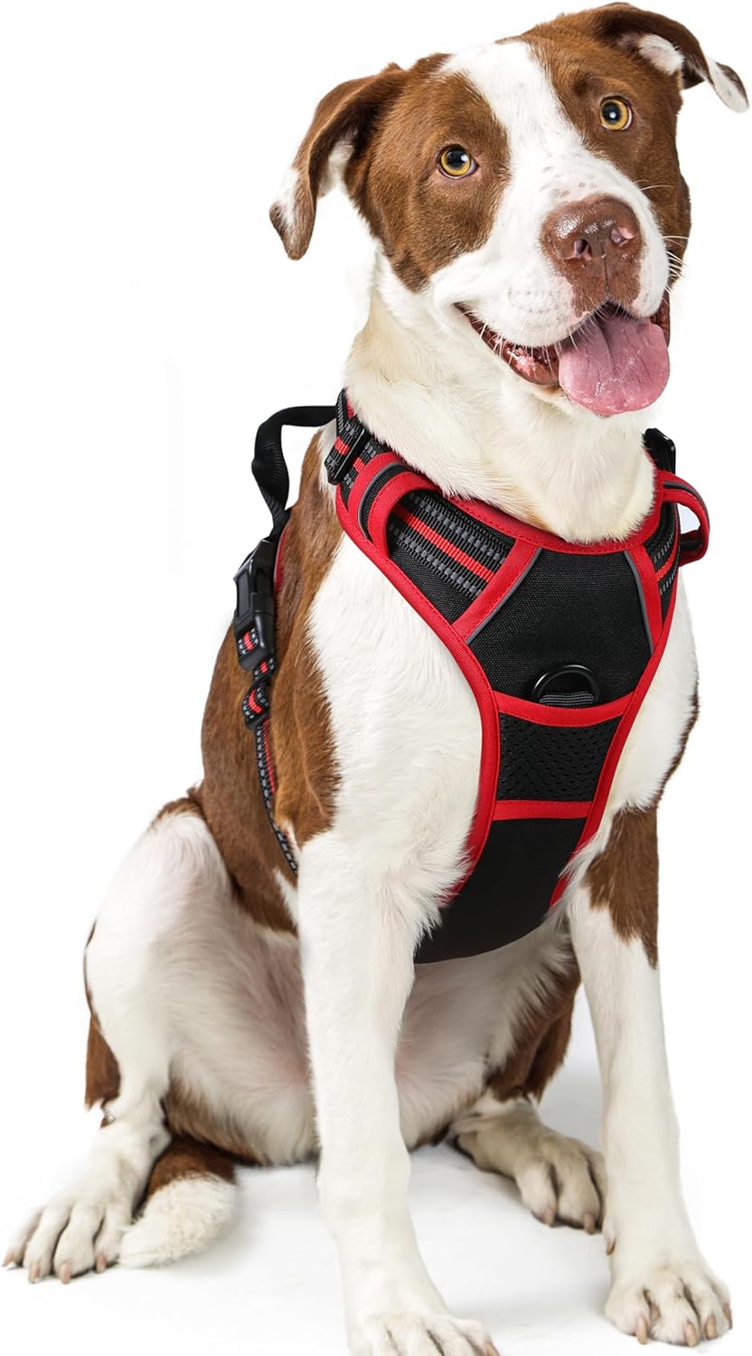 rabbitgoo Dog Harness No Pull with 2 Leash Clips, Adjustable Soft Padded, Reflective Oxford No Choke Pet Vest with Easy Control Handle for Large Dogs, Black & Red, L
