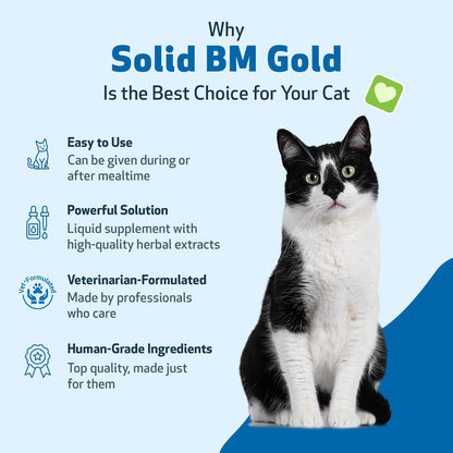 Pet Wellbeing BM Tone-Up Gold for Dogs & Cats - Supports Healthy Digestive Function, Solid Stools, Normal Bowel Movements, Bayberry - Veterinarian-Formulated Herbal Supplement 4 oz (118 ml)