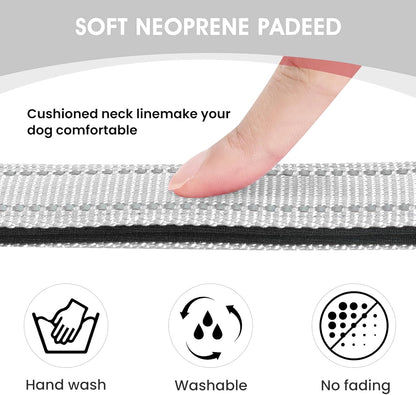 Reflective Dog Collar Padded with Soft Neoprene Breathable Quick Release Basic Dog Collars for Puppy Small Dogs Girl Boy Xs Silver