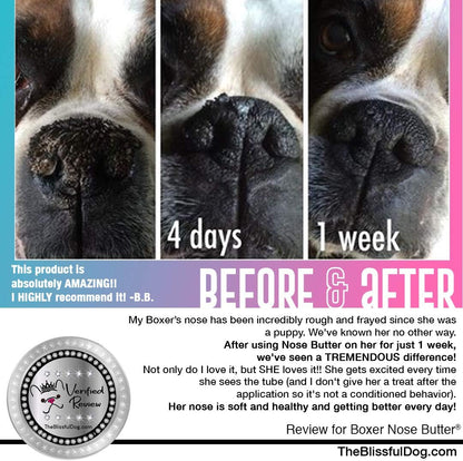 The Blissful Dog White Boxer Nose Butter for Dry, Cracked Skin, Lick-Safe Dog Nose Balm with Moisturizing Shea Butter, Almond, Olive, and Essential Oils, Pet Supplies, Uncented, 8 oz.