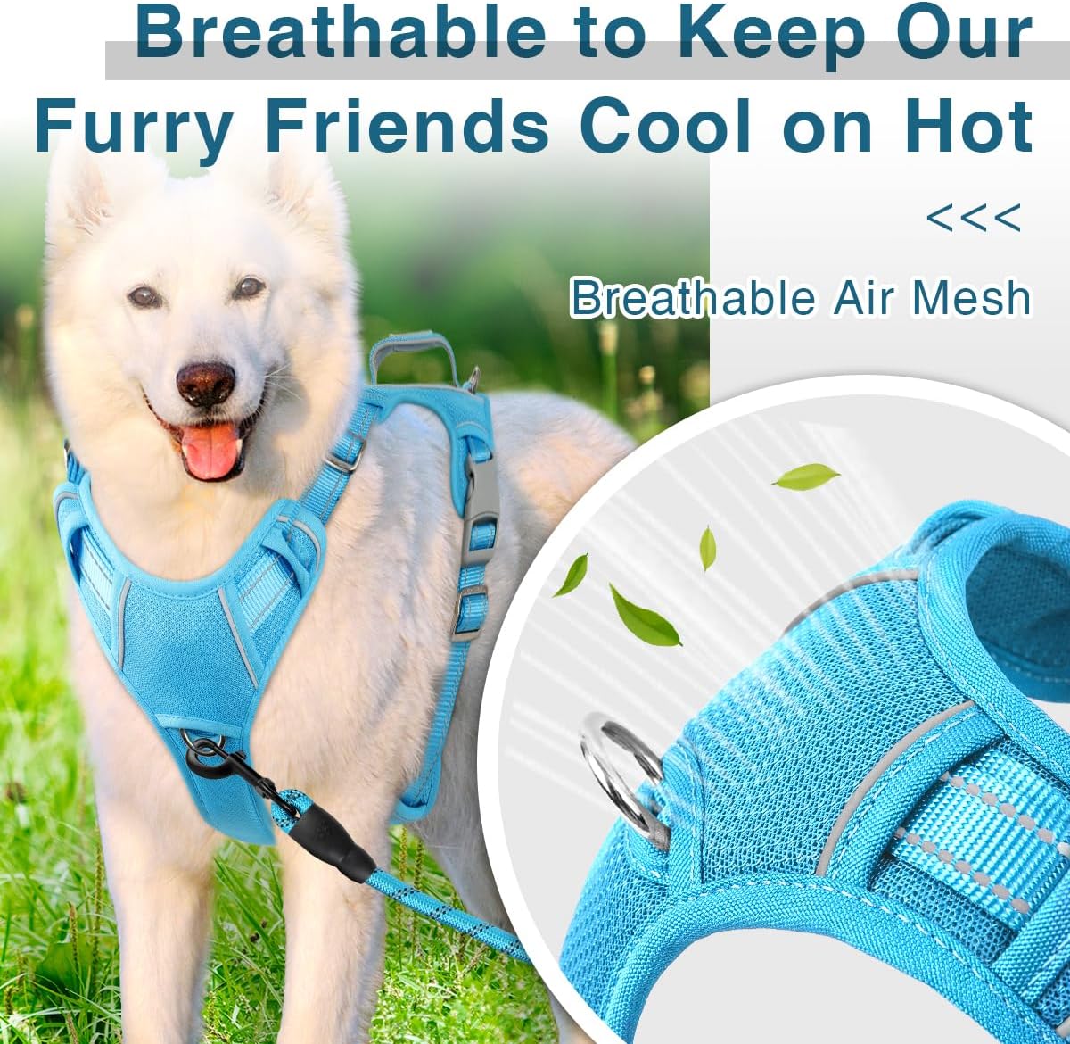 BARKBAY Dog Harness No Pull with ID Tag Pocket - Heavy Duty, Reflective, Easy Control for Large Dogs(Blue,M)