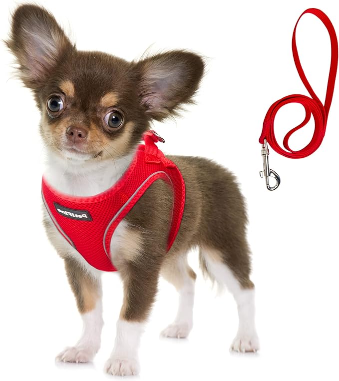 Fida Comfy Dog Harness with Leash, Soft Puppy Vest Escape Proof, Breathable Lightweight Soft Mesh, Adjustable Reflective Step-in Harness for Small Pet Walking (S, Red)