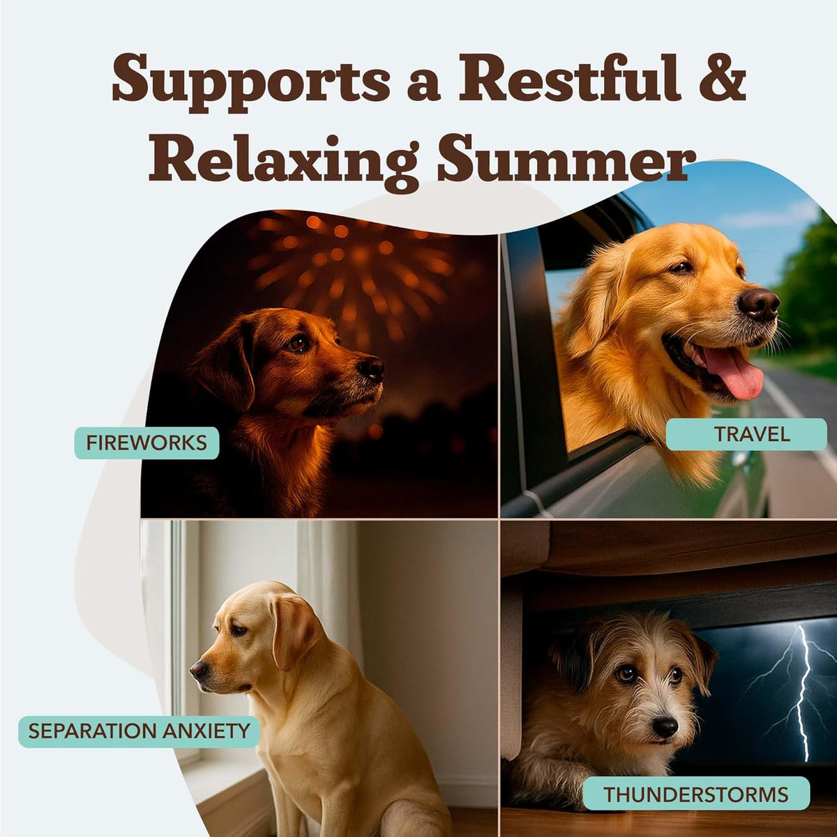 Natural Dog Company Calming Chews for Dogs, Stress & Anxiety Relief Supplement with Chamomile, Valerian Root & Melatonin, Natural Soothing Chews for Travel, Thunder, Fireworks & Separation (90 cnt)