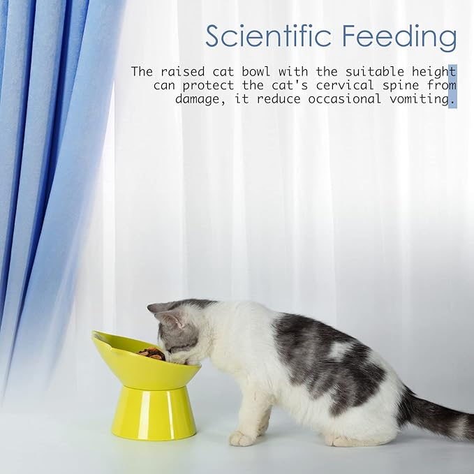 Detachable Elevated Cat Bowls, 15° Tilted Raised Cat Food Bowl Anti-Vomiting,Whisker Friendly, Adjustable Pet Dishes for Protecting Spine, cat Bowls for Indoor Cats Adult Kitten