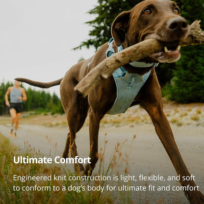 Ruffwear, Front Range Flex Dog Harness, Engineered Knit Construction for Ultimate Fit and Mobility, Lightweight Flexible Everyday Harness with Dual Leash Clips, Polar Blue, Medium