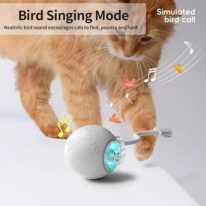 Interactive Cat Toys, Automatic Moving Cat Toy for Bored Indoor Adult Cats, Fast Rolling , Chirping & Motion-Activated Cat Toys, Fun Gift for Cats with Speedy Tail 2.0, USB Rechargeable(gray)