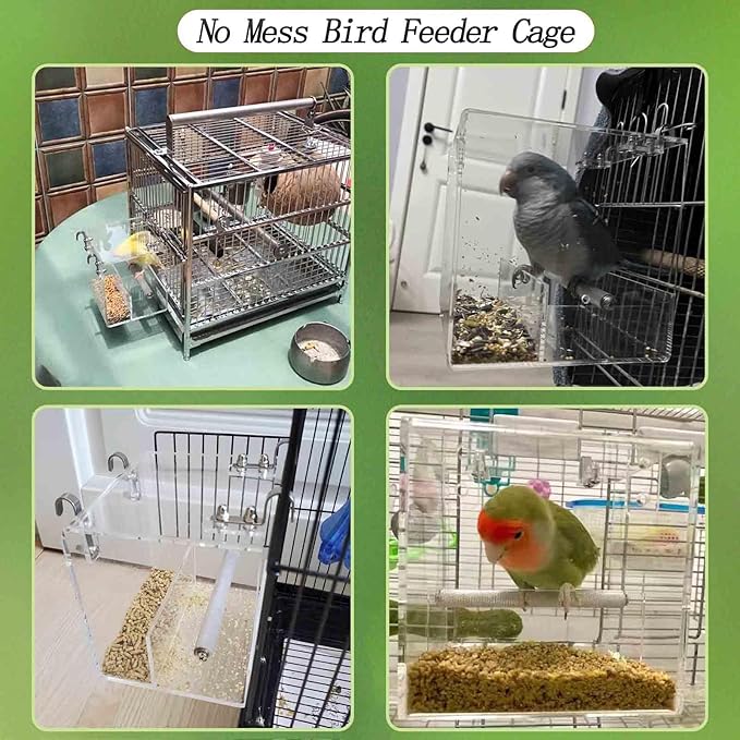 Automatic Bird Feeder for Cage, Automatic Acrylic Bird Feeder No Mess Bird Cage for Small Bird Parrots Canary Parakeet Budgerigar Crested Myna Cockatiel (Large)