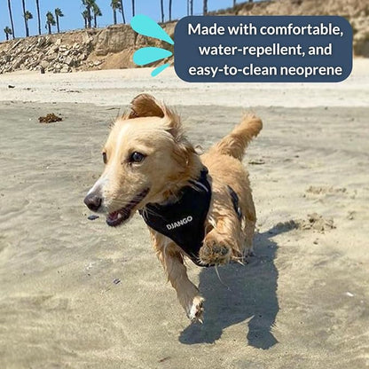 Adventure Dog Harness - Stylish and Comfortable Medium Dog Harness for Outdoor Adventures and Everyday Wear - Black Neoprene Adjustable Harness for Dogs with Reflective Piping and Brass D-Ring