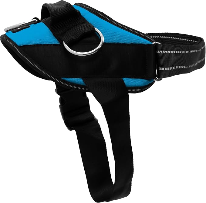 ShawnCo Essential Dog Harness, No-Pull Pet Vest (Oceanic Blue,XL) | 3 Leash Clips, Easy On, No-Choke, Reflective, Adjustable Fit, Padded Comfort, Control Handle, For Small, Medium & Large Dogs