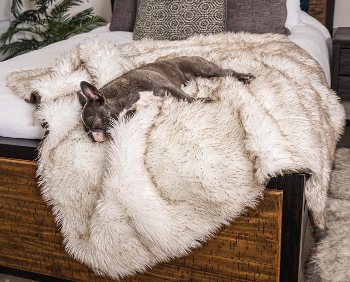 PupProtector Waterproof Throw Blanket for Dogs and Cats. Everyday comfort that fits naturally into your space.