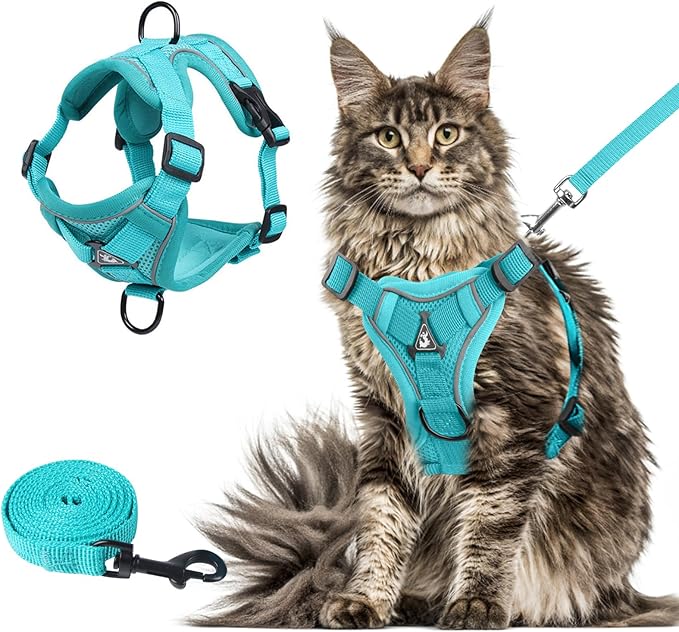 Wanheart Summer cat Chest Harness and Leash, Anti-Escape Adjustable Soft mesh cat Leash and Chest Harness Set for All Types of Cats cat Vests (Emerald, XL)
