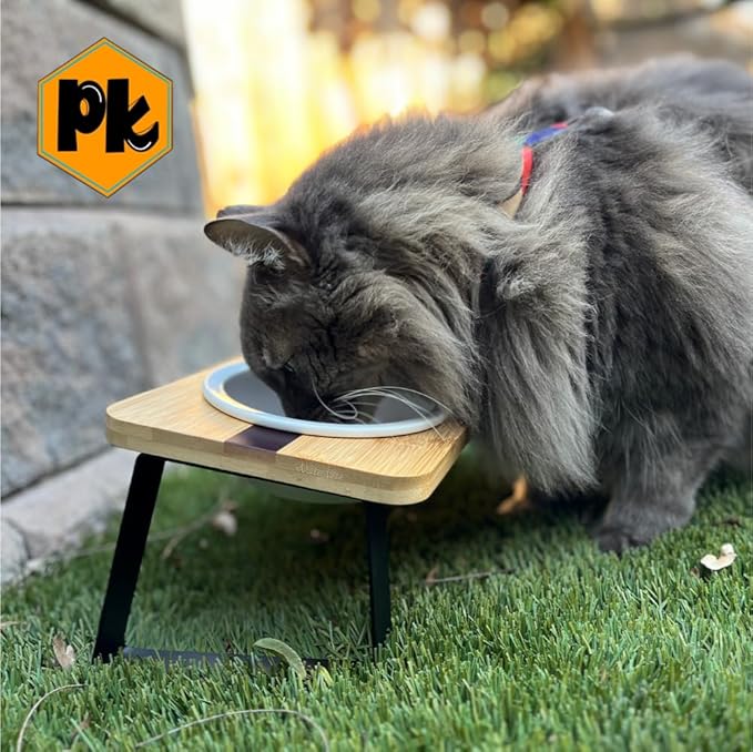 Replacement Ceramic Bowls, Dishwasher Safe Bowl for Cats and Puppy (Pack of 2)