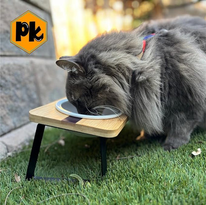 Replacement Ceramic Bowls, Dishwasher Safe Bowl for Cats and Puppy (Pack of 2)