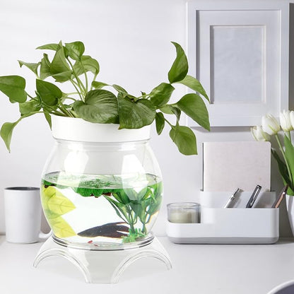 3 Gallon PET Aquaponic Betta Fish Tank Aquaponic with Base and Top, Large Bowl Shatterproof Aquarium Fish Tank with Clear Clarity for Terrarium, Flower Vase Centerpiece Present for Fish Lovers