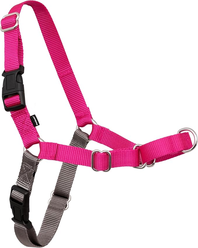 PetSafe Easy Walk Harness, No Pull Dog Harness, Raspberry, Medium/Large | Patented Martingale Loop Gives Gradual Shoulder Pressure to Stop Pulling, Front-Chest Leash Clip Prevents Gagging