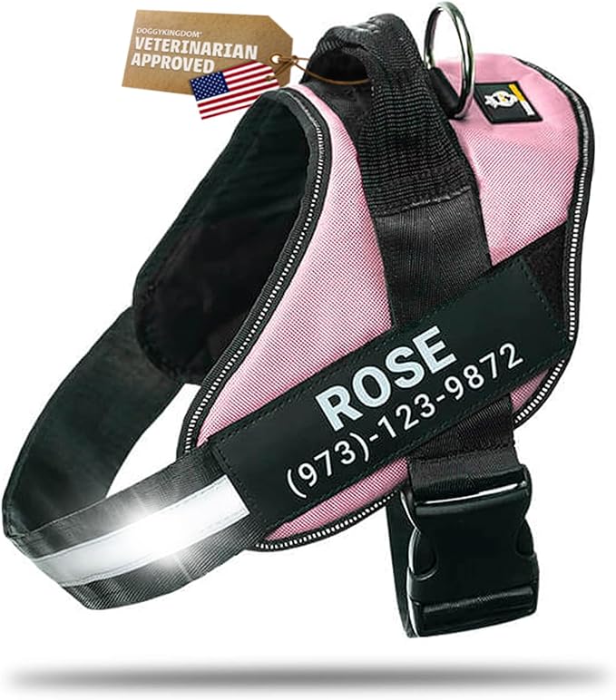 Personalized Dog Harness with Custom Name Patches, Adjustable Reflective No Choke Dog Vest with Handle for XXL Dog, Pink, 2XL