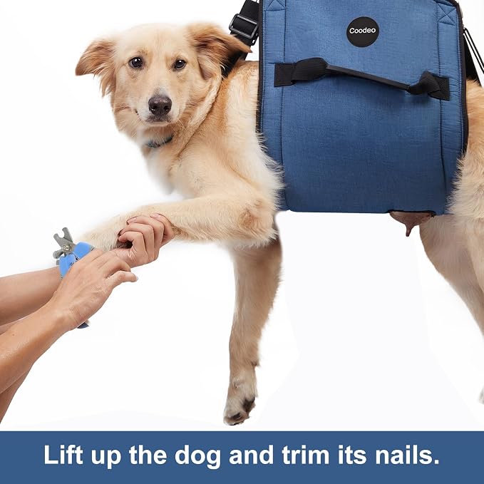 COODEO Dog Carry Sling, Emergency Backpack Pet Legs Support & Rehabilitation Dog Lift Harness for Nail Trimming, Dog Carrier for Senior Dogs Joint Injuries, Arthritis, Up and Down Stairs (M, Blue)