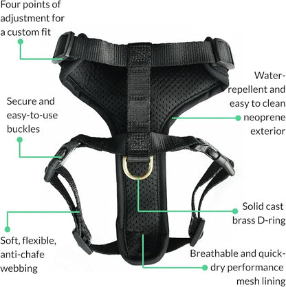 Adventure Dog Harness - Stylish and Comfortable Medium Dog Harness for Outdoor Adventures and Everyday Wear - Black Neoprene Adjustable Harness for Dogs with Reflective Piping and Brass D-Ring