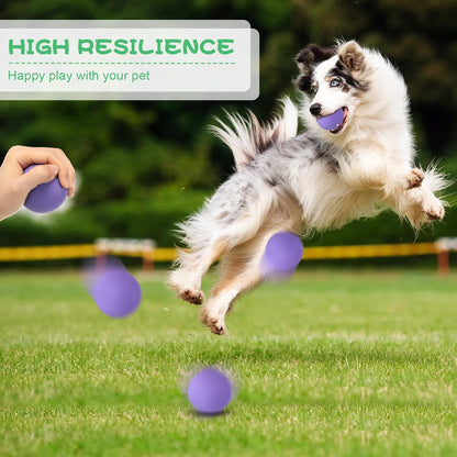 Shappy 12 Pieces Rubber Dog Tennis Balls for Dog Colorful Catching Pet Balls for Fetch Training 2.4 Inch Interactive Bounce and Floatable Toy for Park Beach