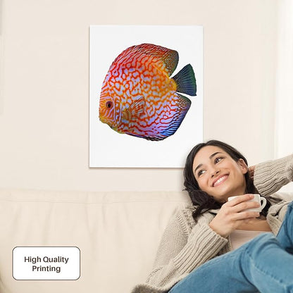 3dRose King Of The Aquarium Discus Fish Image Wildlife Museum Grade Canvas Wrap 16x20