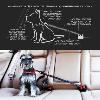 EzyDog CLICK – Dog Seat Belt for Car, Dog Harness Adjustable Seatbelt Attachment – Heavy Duty Nylon Seat Belt Webbing (17.5in - 26in)