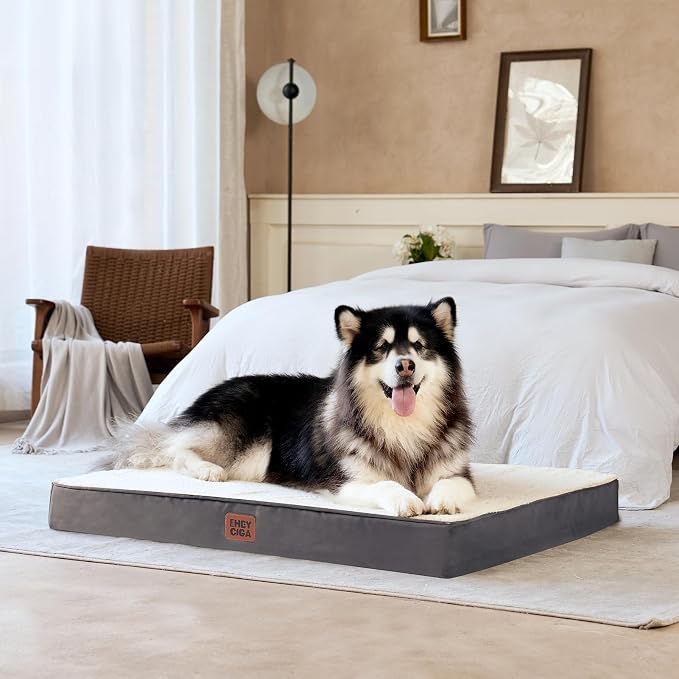 EHEYCIGA Orthopedic Dog Bed Large with Removable Washable Cover, 50IN Beige | Egg Crate Foam Support, Durable Oxford fabric, Non-Slip Bottom, Machine Washable, Soft Waterproof Plush Pet Bed Mat For Crate