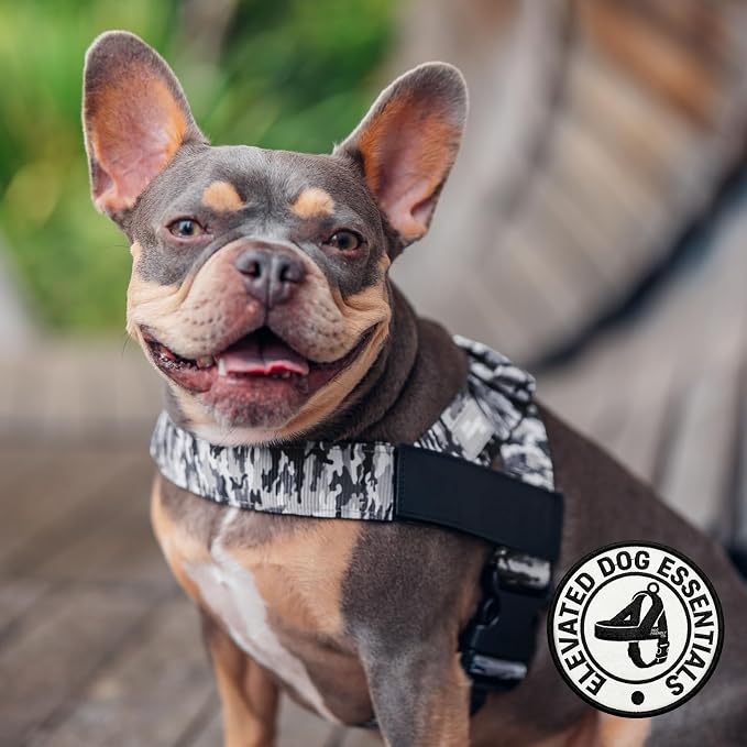 Dog Friendly Co. Dog Harness for Large Dogs (Grey Camo, Large) | One Click Buckle, Chafe Resistant Webbing, Adjustable Neck & Chest, and Heavy Duty D-Ring, Sturdy Comfortable and Easy to Use