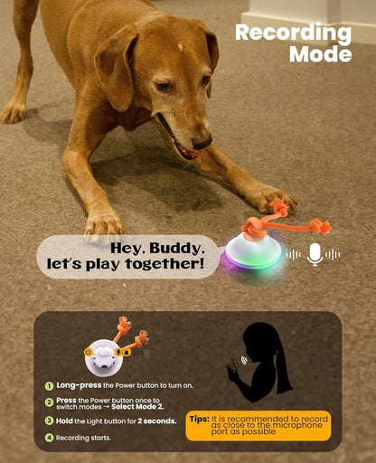 Interactive Dog Toys, Automatic Moving and Rolling LED Light Up Dogs Ball with Rope, Motion-Activated Wicked Ball for Small Medium Pup, Stimulation Toy for Boredom Relief