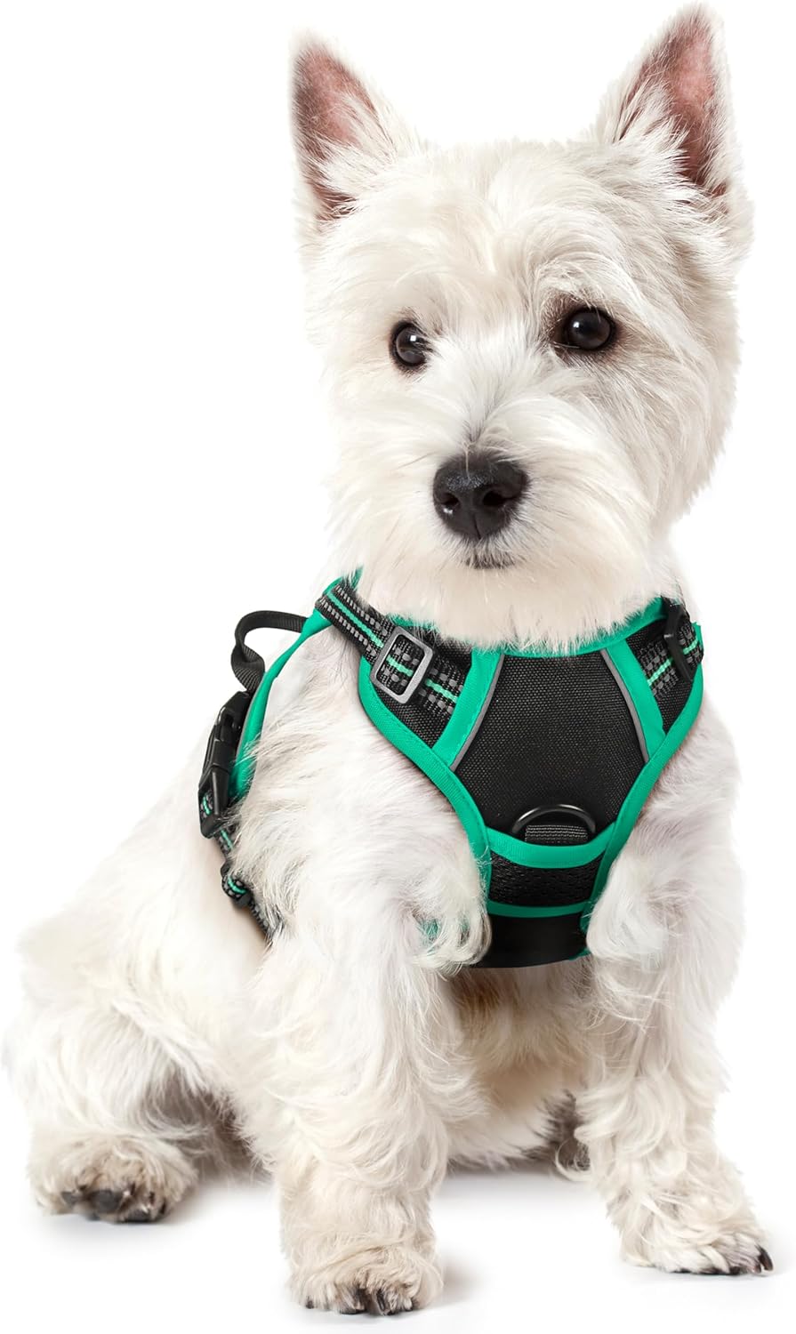 rabbitgoo Dog Harness No Pull with 2 Leash Clips, Adjustable Soft Padded, Reflective Oxford No Choke Pet Vest with Easy Control Handle for Puppy, Black & Turquoise, XS