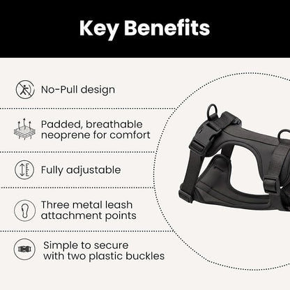 No Pull Dog Harness and Leash Set 3-in-1 Adjustable Anti Pull Dog Harness with Hands-Free Matching Leash,Poop Bag Holder,Easy Walk Dog Harness Extra Small Sized Dog(Black)