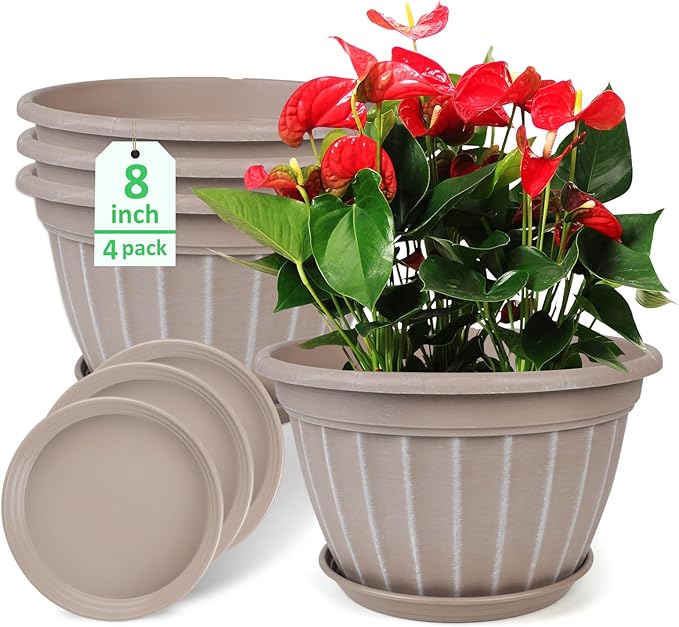FGstyle 4 Pack Flower Pots,8 Inch Plants Pot,Planters Pot with Drainage Hole & Saucer,Modern Planters for Indoor Outdoor Plants,Decorative Resin Garden Pots for Outdoor Indoor Home Plants (Beige)