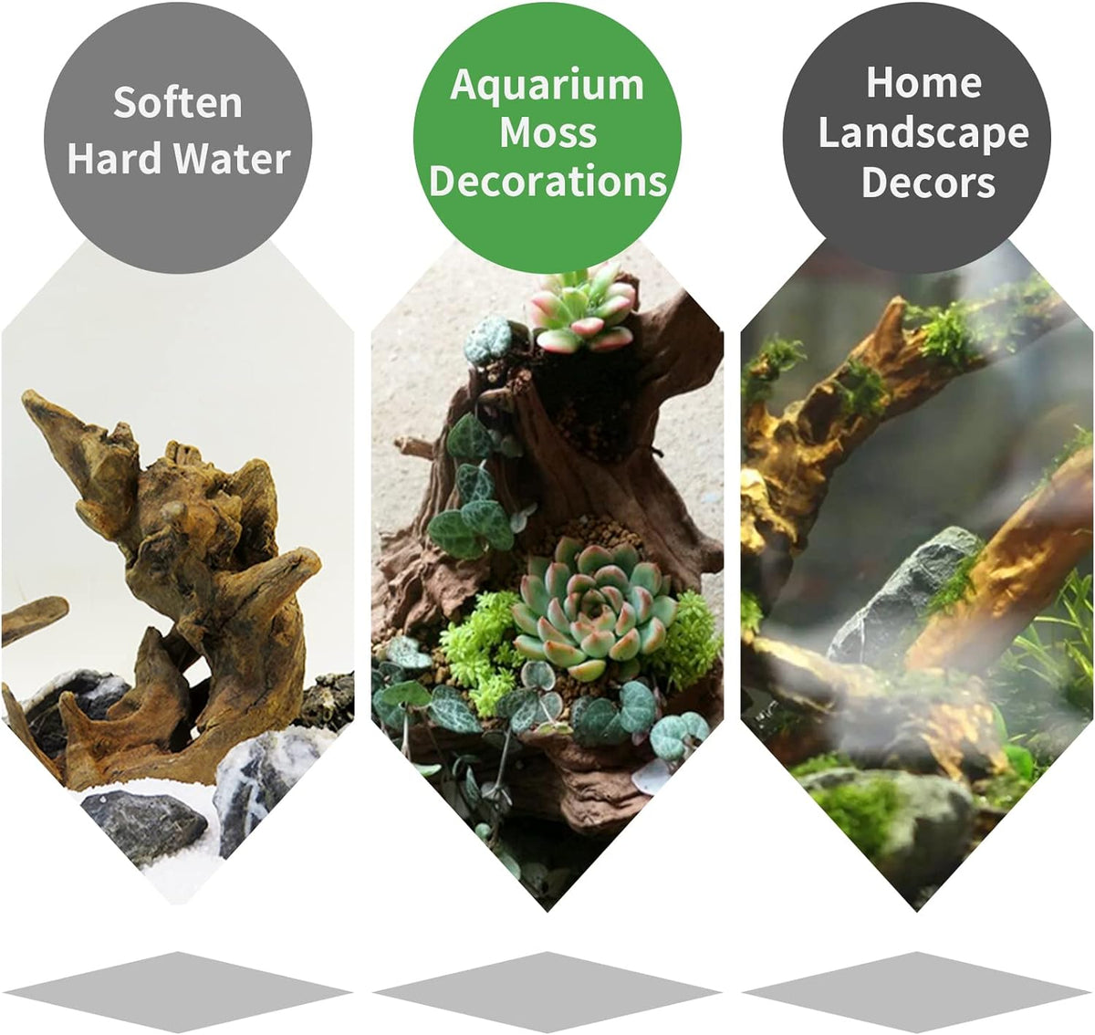 5 Pcs Driftwood Branches Aquarium Wood Decoration Natural Fish Tank Habitat Decor Wood for Lizard Assorted Size-Small