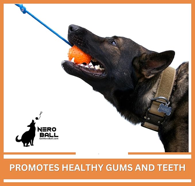 The Nero Ball Classic TM - K-9 Ball On a Rope Reward and Exercise Toy - Police K-9 - Schutzhund
