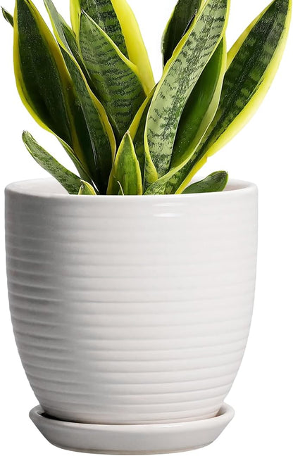 Ceramic Pots for Plants - 6 Inch Plant Pot with Drainage Hole and Saucer, Round Planters for Indoor Outdoor, Flower Pots, Modern Planter, Home Office Room Decor, Gifts for Plant Lovers, White