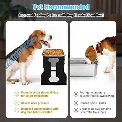 Bobbie & Laxi 10" Elevated Dog Bowl, 0.85 Gal Stainless Steel Bowl | Raised Dog Bowl for Medium Breed, Metal Dog Feeding Station for Relief Joint Pressure, Easy Clean for Indoor & Outdoor Use