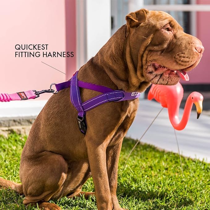 EzyDog Quick Fit Dog Harness, Soft Neoprene Padding - Medium, Denim | Fast One-Click Buckle, Adjustable Fit, Strong Reinforced Materials, Reflective Stitching, No Pull Dog Harness, Easy Walking
