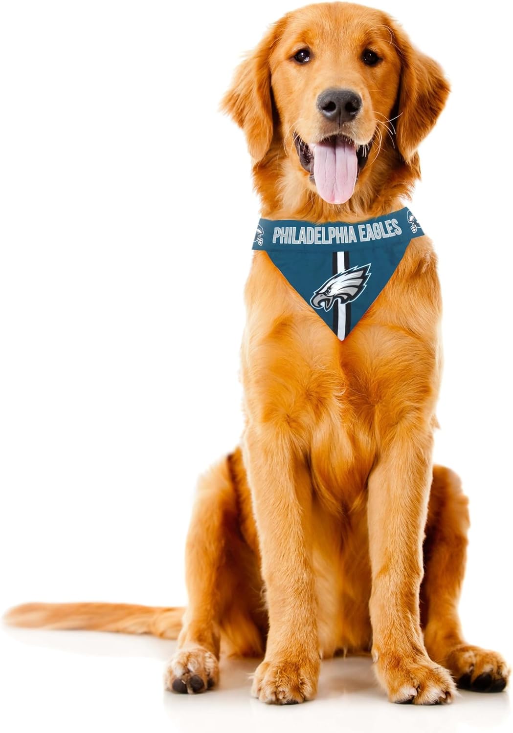Littlearth NFL Pet Bandana - Reversible