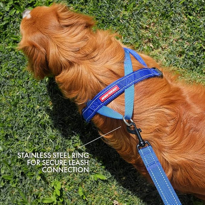 EzyDog Quick Fit Dog Harness, Soft Neoprene Padding - X-Small, Black | Fast One-Click Buckle, Adjustable Fit, Strong Reinforced Materials, Reflective Stitching, No Pull Dog Harness, Easy Walking