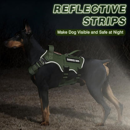 Service Dog in Training Vest and Leash Set with 10 Patches,Heavy Duty Tactical Dog Harness with Metal Buckles for Medium Sized Dogs,No Pull Easy Walking for Training Working Hiking,Green M